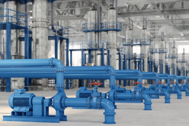 Best Local Plumber Services  in Union Park, FL